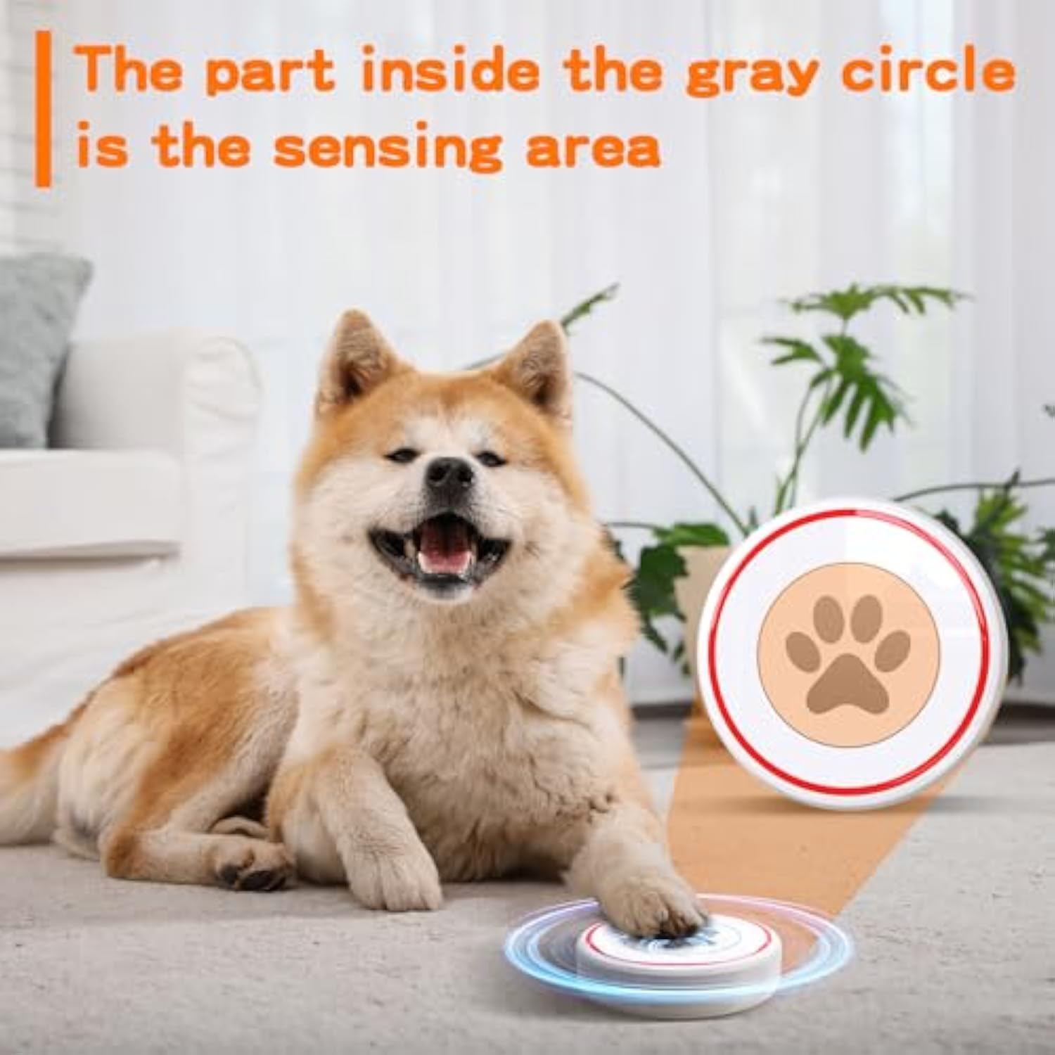 Revolutionize Potty Training: The Ultimate Dog Bell for All Breeds and Ages