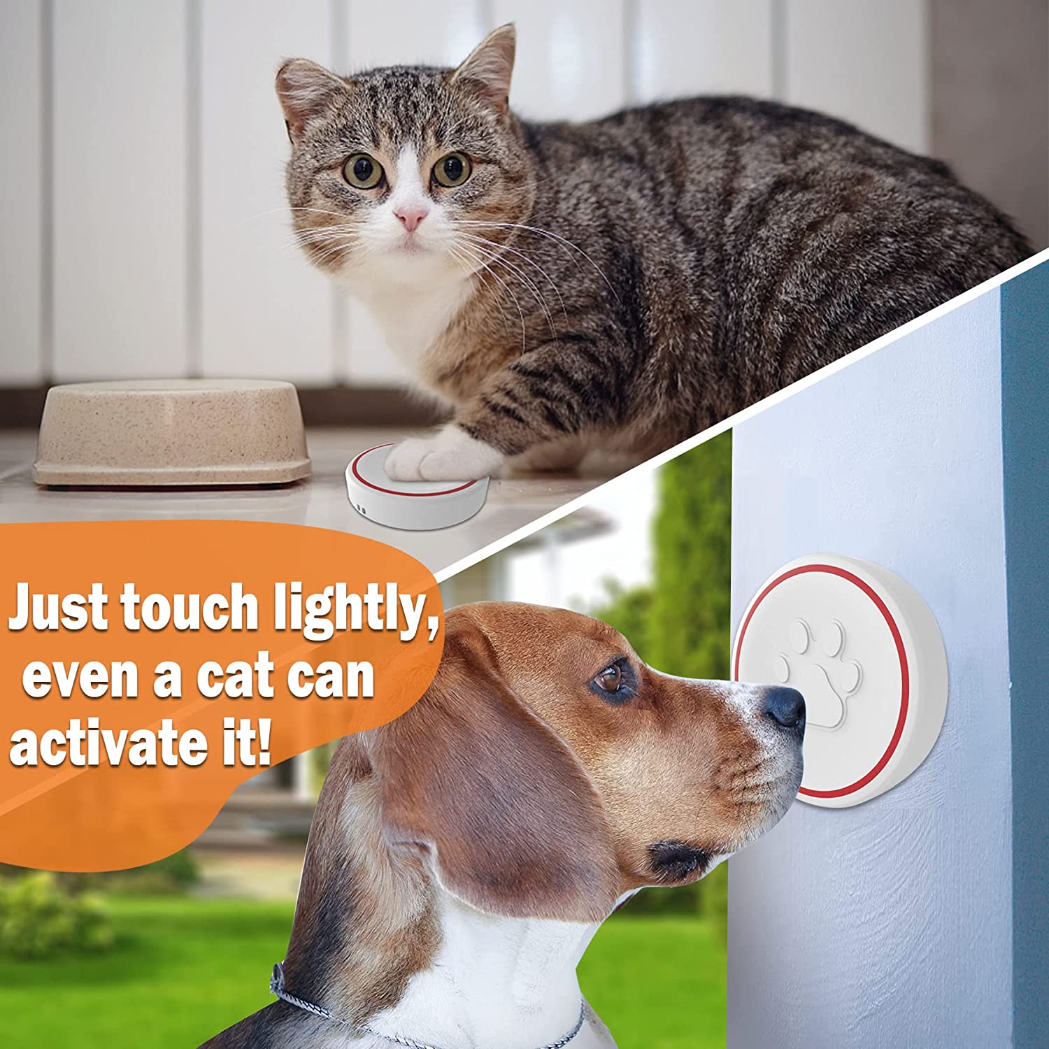 cat doorbell - sonnette pour chat et chien